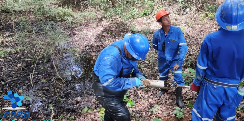 labsa ambiental